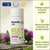 Seravita - Milk Thistle Support - Online Store