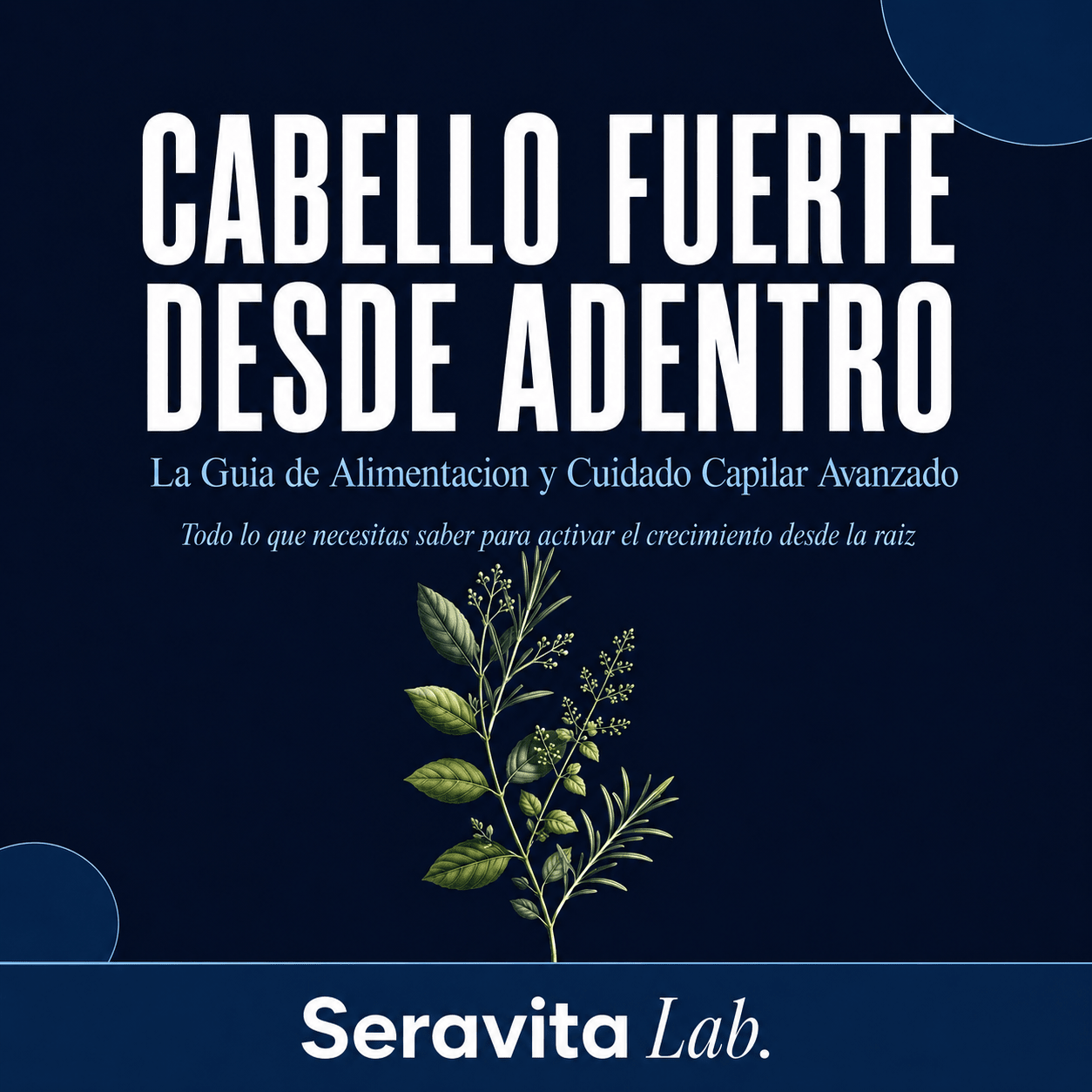 Taller de Alimentación y Cuidado Capilar Avanzado - Online Store